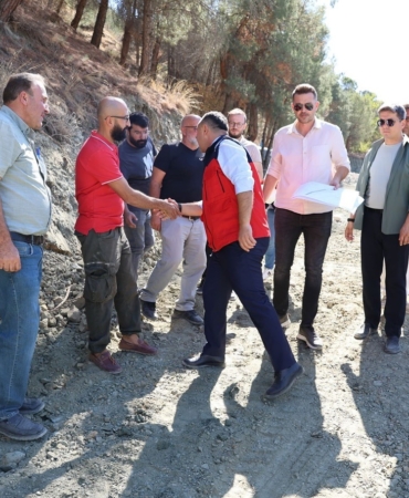 85f4103e-32b3-41c6-a1ad-3d64a9dc0ebc