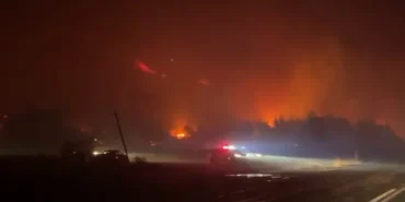 bursa-da-karacabey-ekmekci-mahallesi-nde-orman-yangini-1758910287-521_large