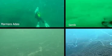 marmara-denizi-nde-musilaj-alarmi-prof-dr-mustafa-sari-dan-acil-cagri-1758893414-632_large