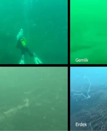 marmara-denizi-nde-musilaj-alarmi-prof-dr-mustafa-sari-dan-acil-cagri-1758893414-632_large