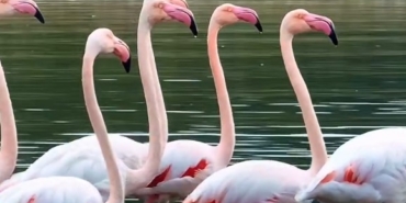 Başkan Büyükakın büyüleyen görüntüleri paylaştı (3)