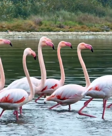 Başkan Büyükakın büyüleyen görüntüleri paylaştı (3)