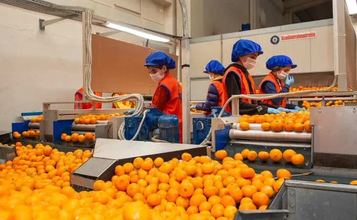 satsuma-mandalinanin-yolculugu-17-ekim-de-basliyor-1760254751-30_large