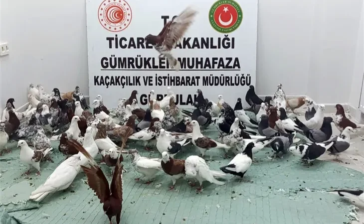 ticaret-te-kanatli-operasyon-gurbulak-ta-85-cancan-ele-gecirildi-1760611486-323_large