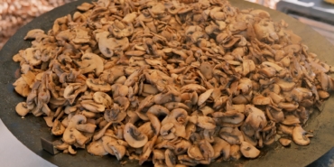 Kuzuyayla'da mantarların gizemli dünyası keşfedildi (5)