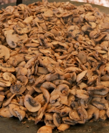 Kuzuyayla'da mantarların gizemli dünyası keşfedildi (5)