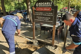 Ormanya'da oyun gruplarına periyodik bakım (3)