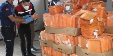 antalya-da-25-ton-tarihi-gecmis-tavuk-imha-edildi-1764083875-377_large