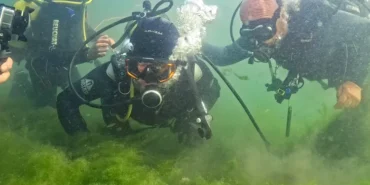 izmit-korfezi-nde-umut-veren-dalis-baskan-buyukakin-ve-uzmanlar-canlanan-ekosisteme-daldi-1764074652-569_large