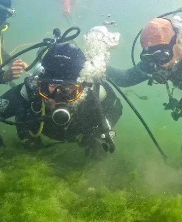 izmit-korfezi-nde-umut-veren-dalis-baskan-buyukakin-ve-uzmanlar-canlanan-ekosisteme-daldi-1764074652-569_large