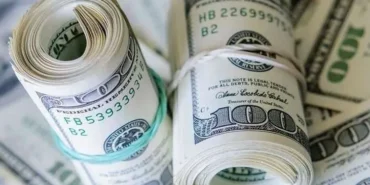 merkez-bankasi-ndan-dolar-karari-1641223796-507_large