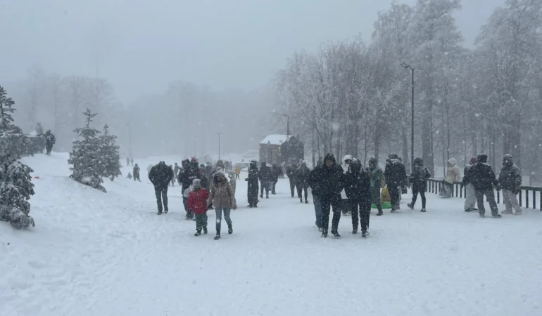 aileler-ve-ocuklar-kartepe-de-karn-keyfini-kard_large