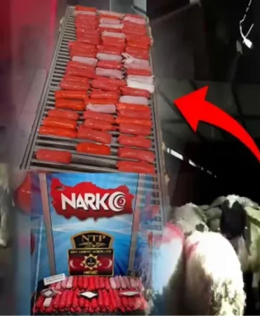 bunu-da-yaptilar-kucukbas-hayvanlarin-karin-bosluklarina-zulaladilar-1766644152-775_large