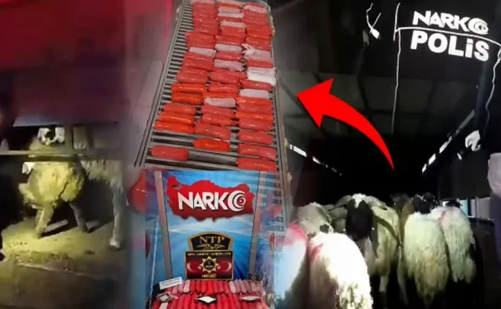 bunu-da-yaptilar-kucukbas-hayvanlarin-karin-bosluklarina-zulaladilar-1766644152-775_large