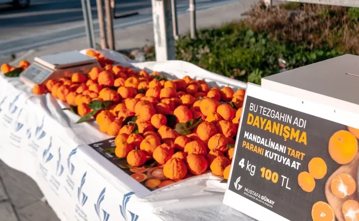 tmp-1-8-1766037579-143-1766037590-781_large