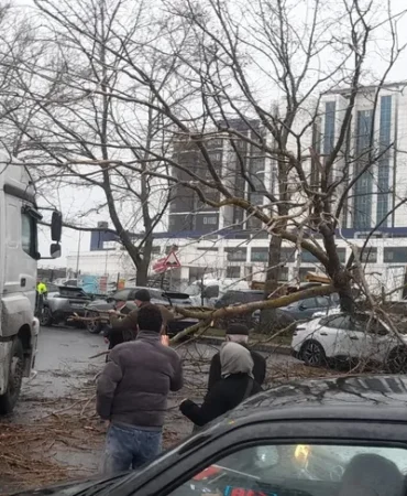 istanbul-da-firtina-agac-devrildi-sahil-yollari-kapandi-1767871379-865_large