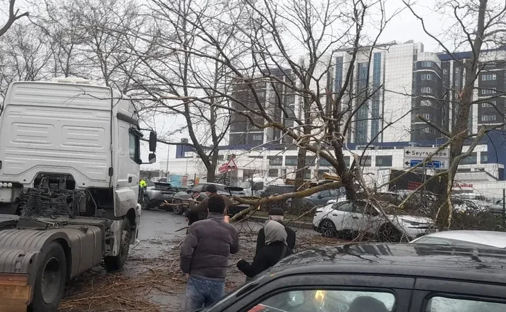 istanbul-da-firtina-agac-devrildi-sahil-yollari-kapandi-1767871379-865_large