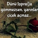 633727791_3267308390109475_904018364864803023_n