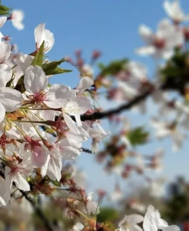 Screenshot_20260219_122620_X-21393765-6ebb966a