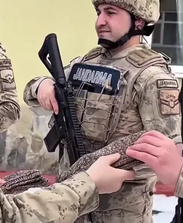 bulgaristan-dan-mehmetcige-ic-isitan-hediye-1771773791-144_large