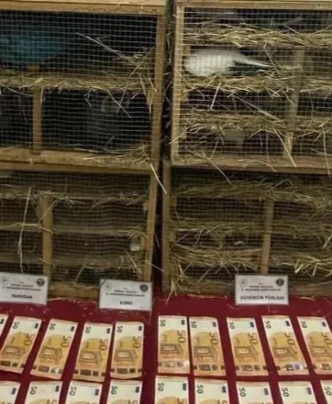 enez-de-kacak-hayvan-ticaretine-darbe-1705479117-257_large