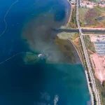 izmit-korfezi-nde-deniz-temizleniyor-ekosistem-gucleniyor-1771224399-375_large