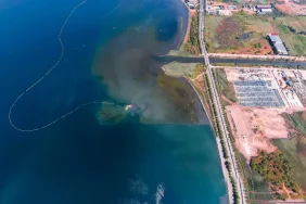 izmit-korfezi-nde-deniz-temizleniyor-ekosistem-gucleniyor-1771224399-375_large