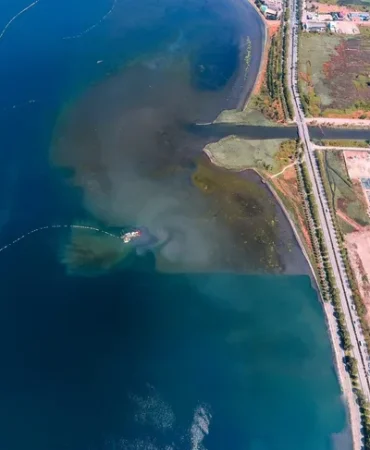 izmit-korfezi-nde-deniz-temizleniyor-ekosistem-gucleniyor-1771224399-375_large