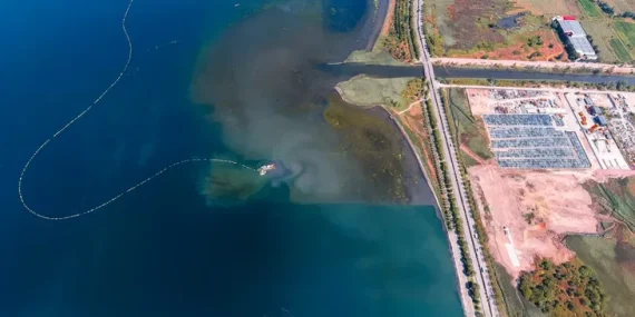 İzmit Körfezi’nde deniz temizleniyor, ekosistem güçleniyor