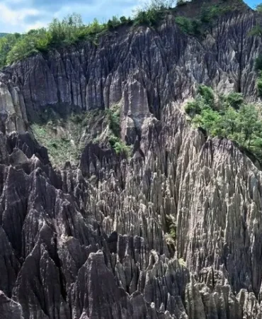 korunan-alan-sayisi-692-ye-yukseldi-1770726898-422_large