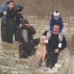 manisa-da-selde-mahsur-kalanlari-itfaiye-kurtardi-1770557892-530_large