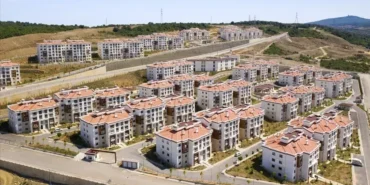 thumbs-b-c-c5b4d0eb3b5d10ed14909d42eff349c3