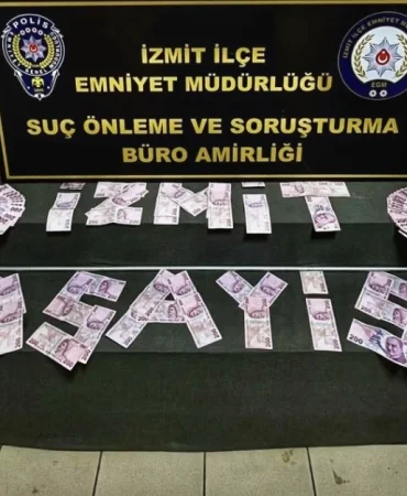 1000452827-0e924a81-0d8ed86e