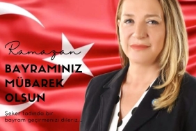 4a07d2c7-46bc-4fa0-88fb-10dbd4b4e975