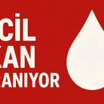 656819077_122175872498942441_376220362846014107_n