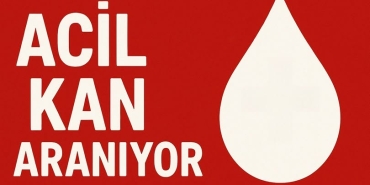 656819077_122175872498942441_376220362846014107_n