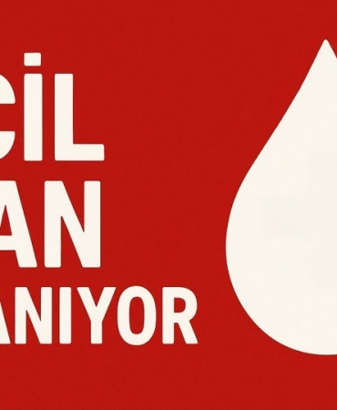 656819077_122175872498942441_376220362846014107_n