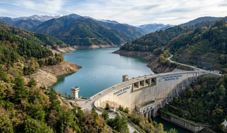 Gemini_Generated_Image_51hx4l51hx4l51hx-c1c53de9-4a560c4a