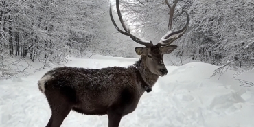 Kuzuyayla'da bayram ve kar sevinci bir arada (1)