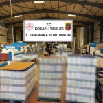 WhatsApp Image 2026-03-11 at 13.06.10