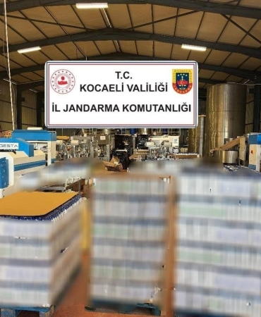 WhatsApp Image 2026-03-11 at 13.06.10