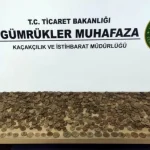 izmir-de-tarihi-eser-kacakciligina-buyuk-darbe-7-bin-550-sikke-ve-figur-ele-gecirildi-1772870590-330_large