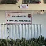 jandarma-1