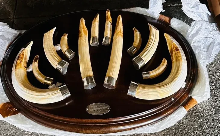 trabzon-da-yaban-hayati-kacakciligi-19-kargo-ele-gecirildi-1774605019-572_large