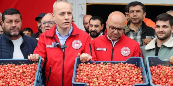 Kiraz hasreti bu sene bitiyor