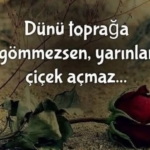 675264356_3331436700363310_1376977457059595686_n