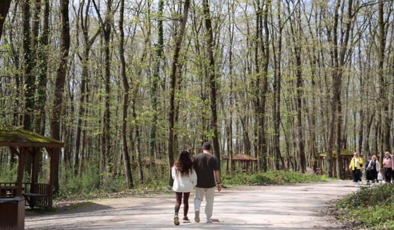 Baharın en güzel hali Ormanya’da yaşanıyor (7) (Large)