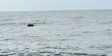 karadeniz-deki-supheli-mayin-sas-timlerince-imha-edildi-1775399622-284_large