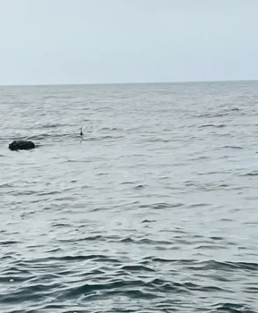 karadeniz-deki-supheli-mayin-sas-timlerince-imha-edildi-1775399622-284_large