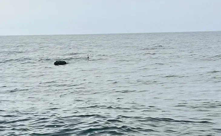 karadeniz-deki-supheli-mayin-sas-timlerince-imha-edildi-1775399622-284_large